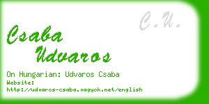 csaba udvaros business card